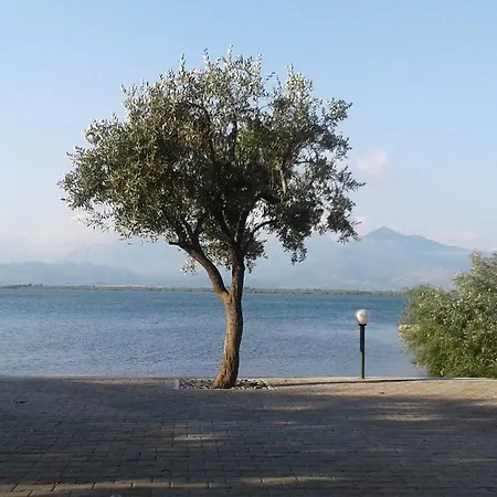 Shkodra Lake Auberge de jeunesse