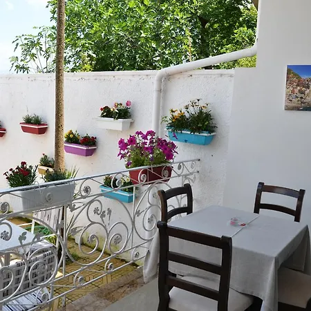 Auberge de jeunesse Shkodra Lake