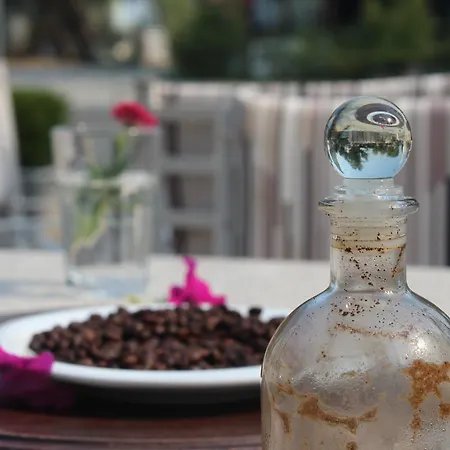Shkodra *