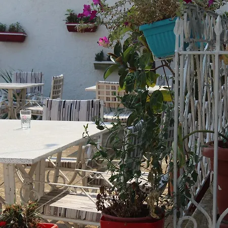 Auberge de jeunesse Shkodra Lake
