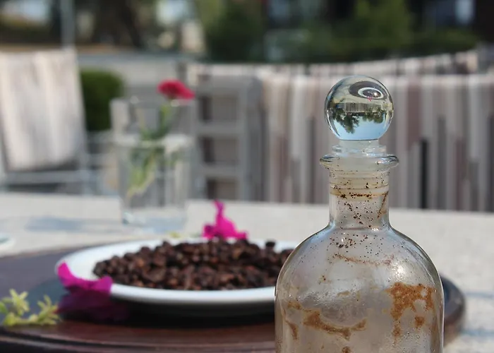 Shkodra *